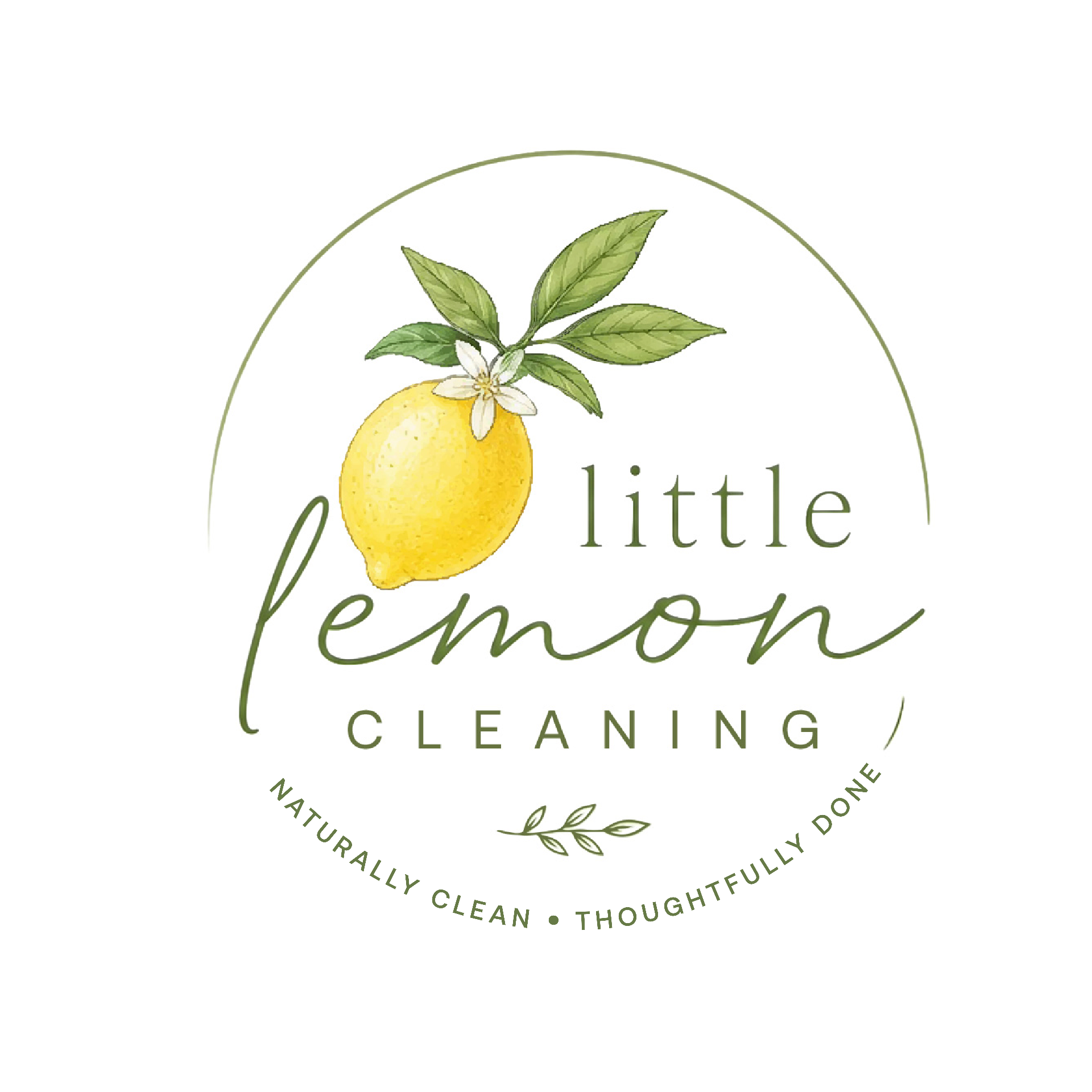 Little Lemon Cleaning